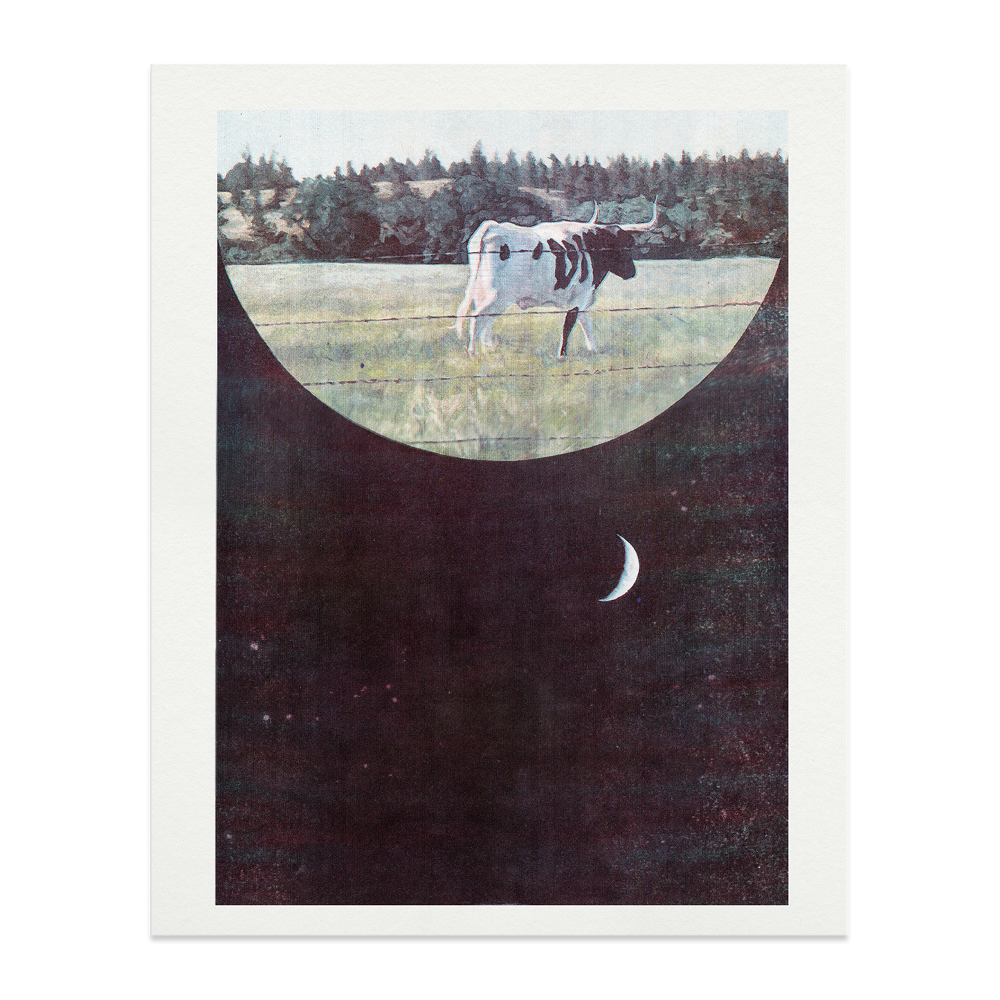 Cow Returning Riso Print