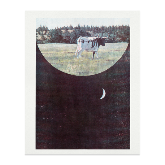 Cow Returning Riso Print