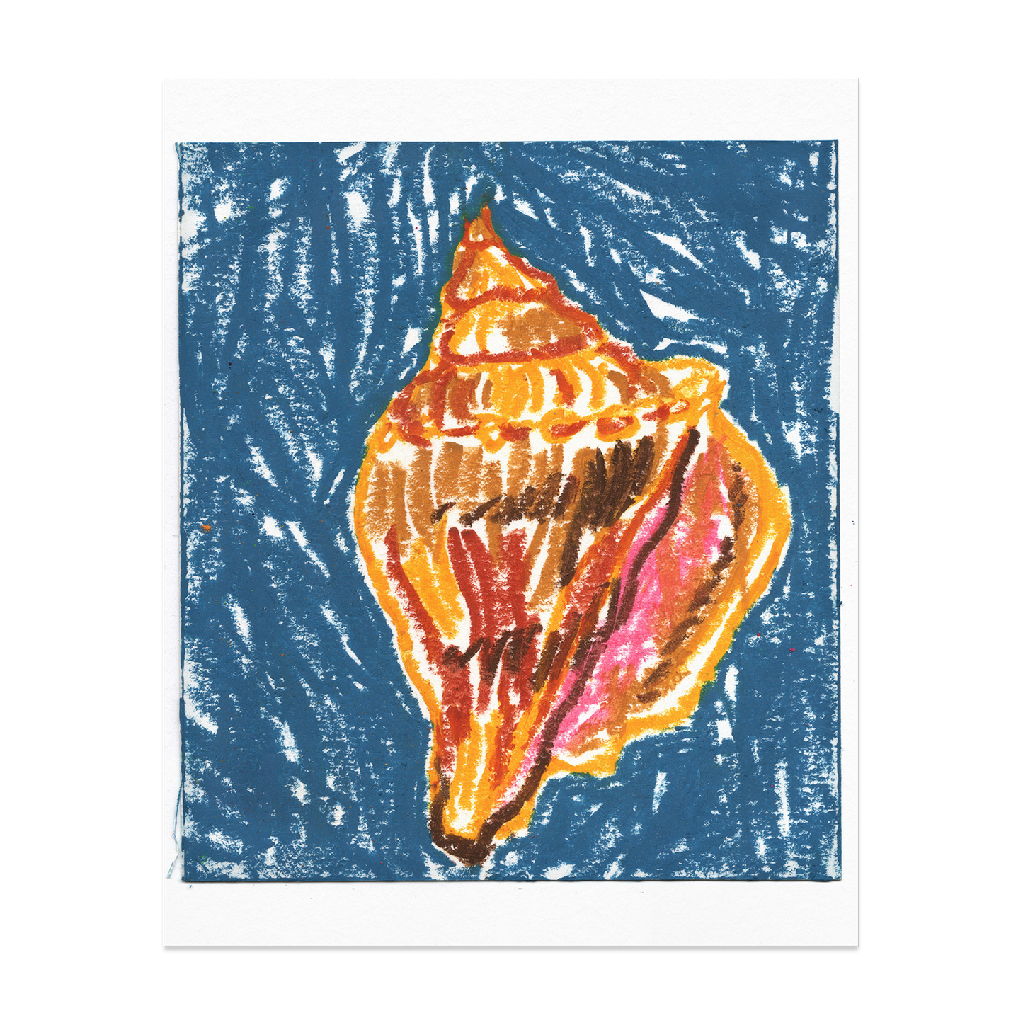 Sea Shell Giclée Print