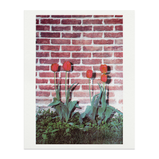 Tulips Riso Print